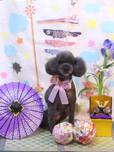 20240510ボーロくん (1)